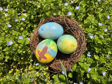 /Slike/A/2026/04-2026/pisanice 4.jpg