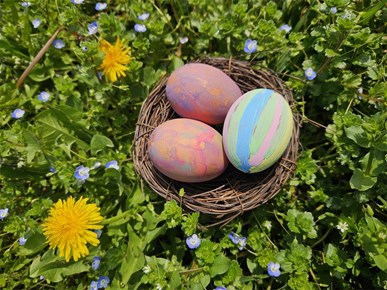 /Slike/A/2026/04-2026/pisanice 5.jpg