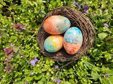 /Slike/A/2026/04-2026/pisanice 6.jpg